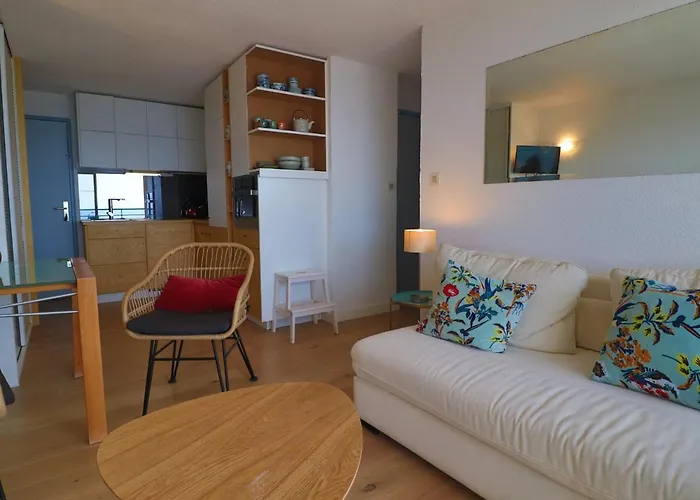 公寓 Face Mer, Terrasse 11m², Clim, Garage, Classe 3☆ - Fr-1-472a-286 塞特港